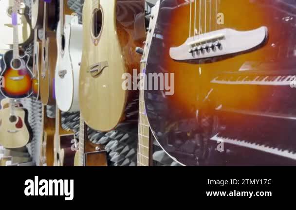 Collection classical stringed musical Stock Videos & Footage - HD and ...