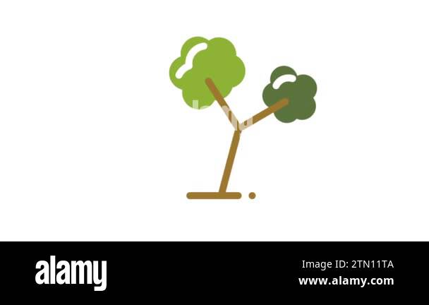 Tree Animated Icon on white background Stock Video Footage - Alamy