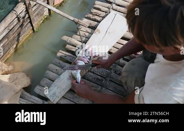Upper view of a fish farmer chopping fish for feeding fish in a bamboo ...