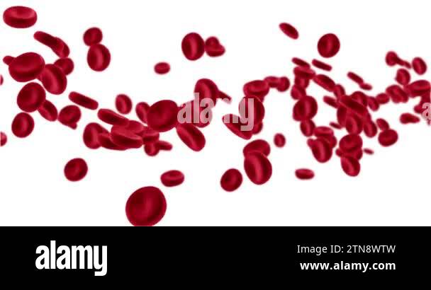 3D rendering animation red blood cells in an artery, flow inside body ...