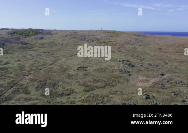 Stokes Point Drone aerial footage of wallabies jumping through grassland rising over ...