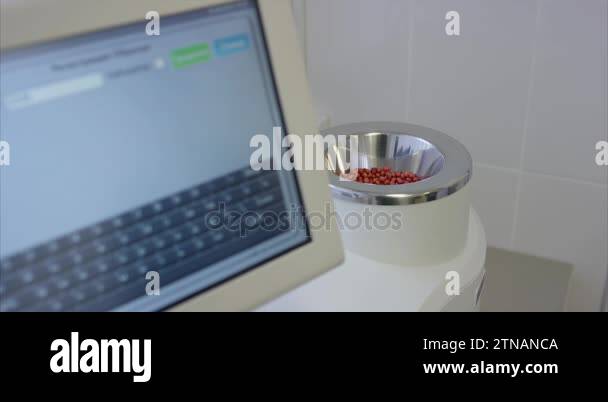 Technician In the laboratory tests the quality of grains and beans ...