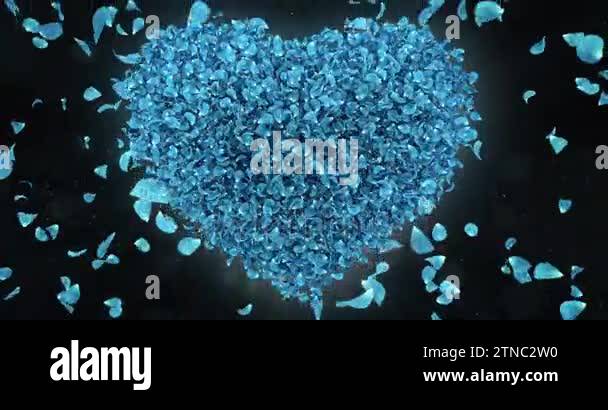 Falling Blue Rose Flower Petals In Lovely Heart Shape Background Loop ...