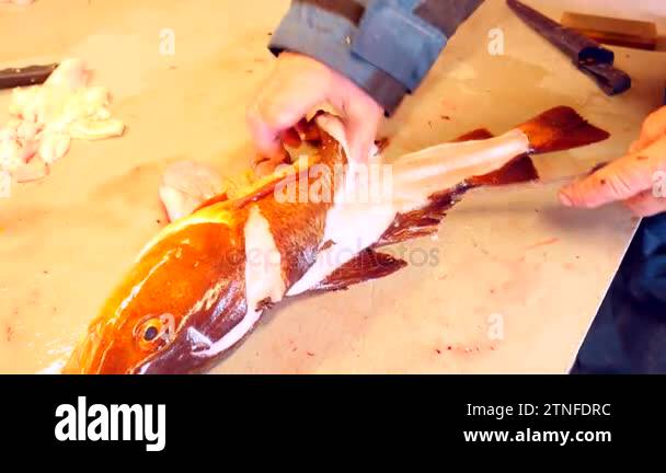 Worker cleaning and filleting fresh sea cod fish in a family factory ...