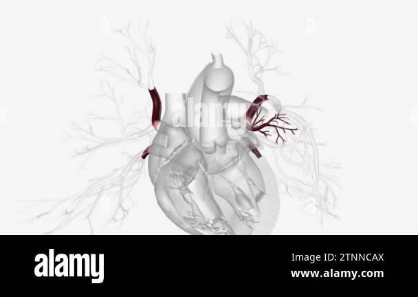 Poor O2 Pleth Poor oxygen circulation Stock Videos & Footage - HD and 4K Video Clips ...