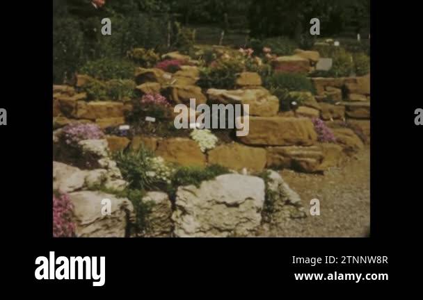 Rome, Italy may 1966: Explore the lush flower nursery and greenhouse