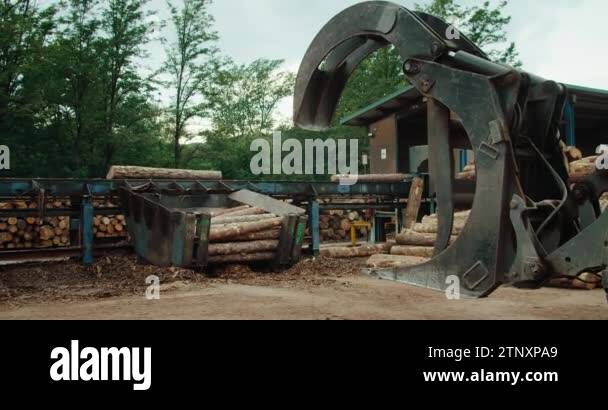 Trunk grab Stock Videos & Footage - HD and 4K Video Clips - Alamy