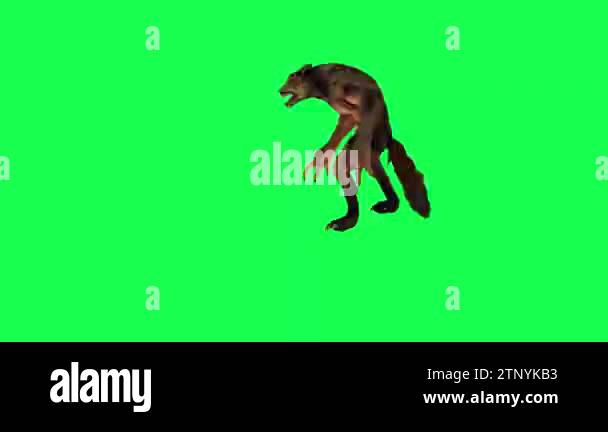 Scary animated 3D werewolf tearing prey isolated right angle green ...