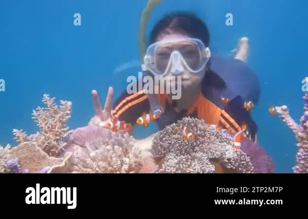 Angelfish deep sea exploration Stock Videos & Footage - HD and 4K Video ...