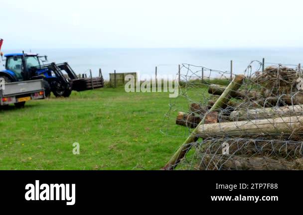 Picture of Old wire fence replacement works. Pile of old posts and barbed wire ...