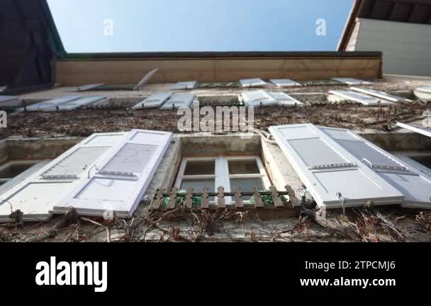 Traditional building windows exterior facade with vine tree roots ...