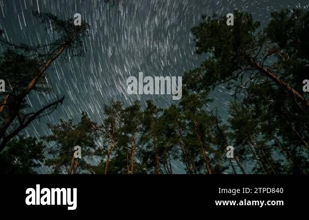Time lapse of comet-shaped star trails over the forest in the night sky ...