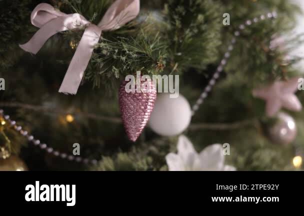 Tree drape Stock Videos & Footage - HD and 4K Video Clips - Alamy
