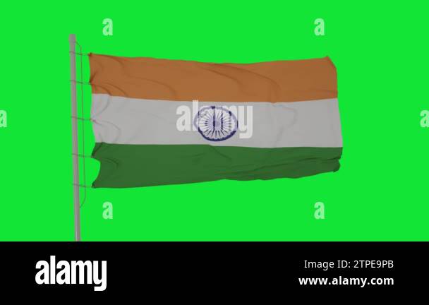 India flag is waving on green screen. India flag seamless loop ...