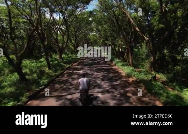Scooter island tree Stock Videos & Footage - HD and 4K Video Clips - Alamy