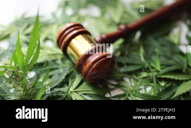 Marijuana arrest Stock Videos & Footage - HD and 4K Video Clips - Alamy