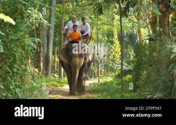 Mahout elephant rider trainer Stock Videos & Footage - HD and 4K Video ...