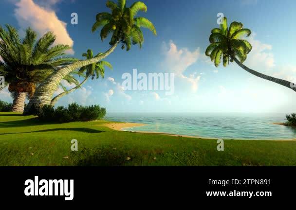 Tropical beach island paradise Stock Videos & Footage - HD and 4K Video ...