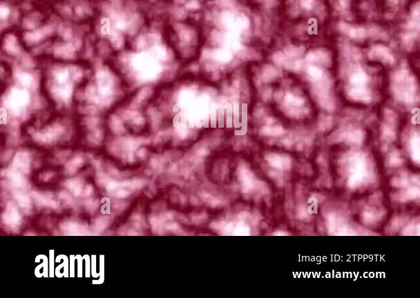 animated background blood cells Stock Video Footage - Alamy