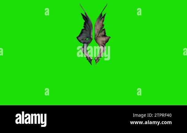 Demon Devil Wings Green Screen 3D Renderings Animations Stock Video ...