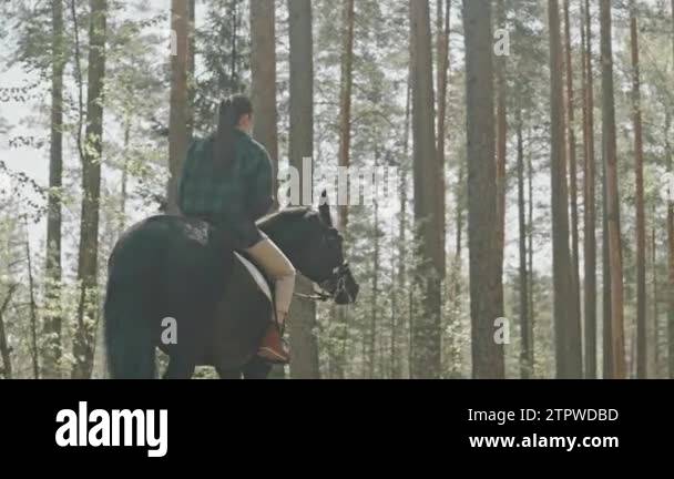 Riding horse in forest Stock Videos & Footage - HD and 4K Video Clips ...