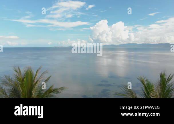 Luxury palm beach resort Stock Videos & Footage - HD and 4K Video Clips ...