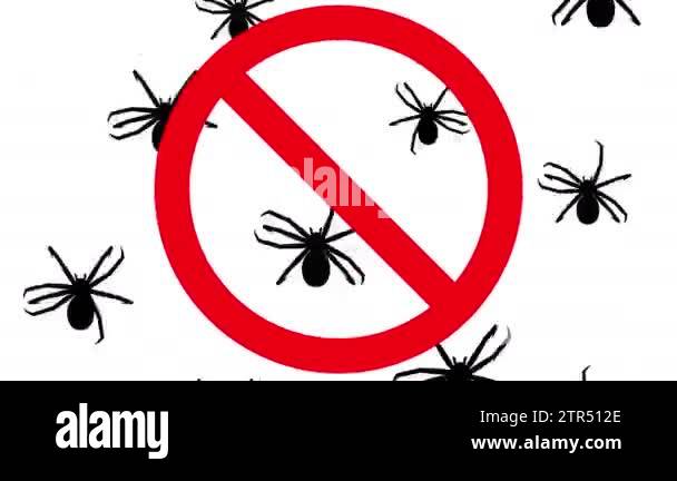 Spiders in prohibition sign Stock Video Footage - Alamy