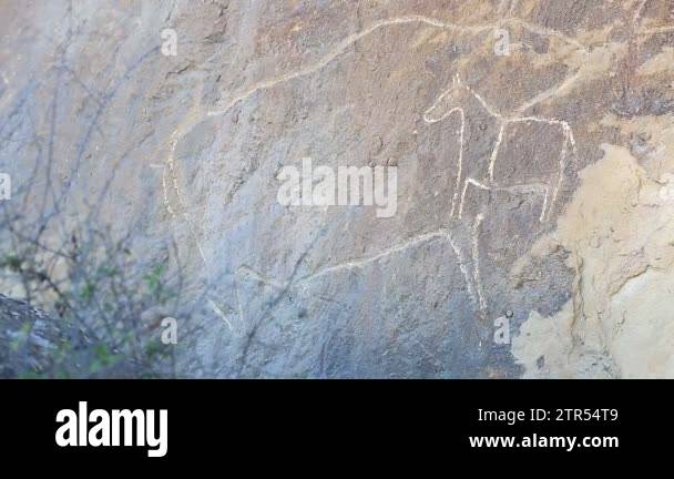 Fun (band) visual data 8