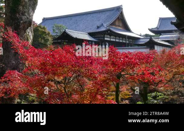 Tofuku ji temple in kyoto Stock Videos & Footage - HD and 4K Video ...