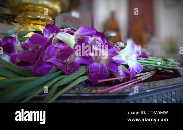 buddhist-shrine-offerings-stock-videos-footage-hd-and-4k-video