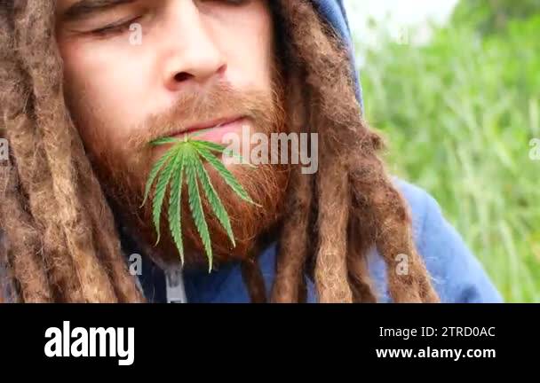 Rastafari rasta man dreadlocks Stock Videos & Footage - HD and 4K Video ...