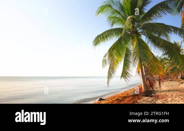 Calm daylight scene from beach Stock Videos & Footage - HD and 4K Video ...