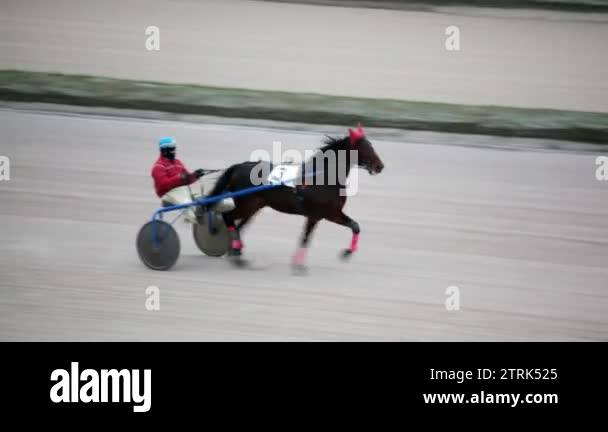 Chariot race track Stock Videos & Footage - HD and 4K Video Clips - Alamy