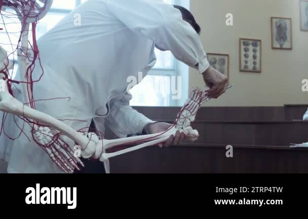 Anatomy class student Stock Videos & Footage - HD and 4K Video Clips ...