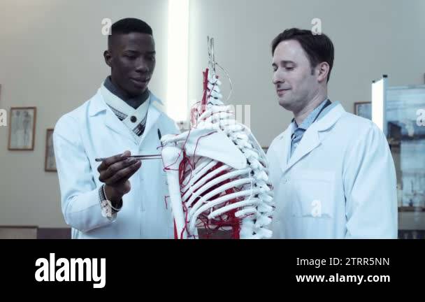Anatomy students Stock Videos & Footage - HD and 4K Video Clips - Alamy