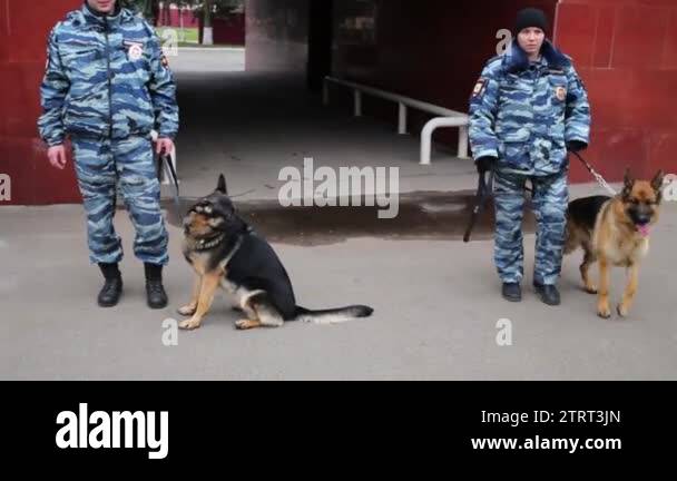 Policeman policewoman patrol Stock Videos & Footage - HD and 4K Video ...