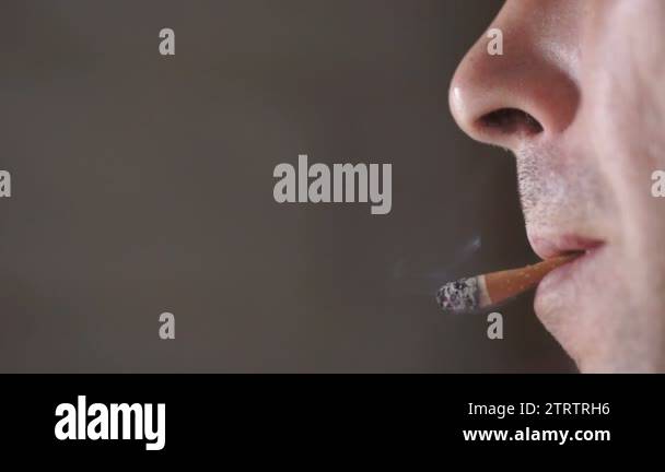 cigarette lighter to 3 pin plug adapter Aries Cb 3 Pin Power Cord with Cigarette Lighter Adapter
