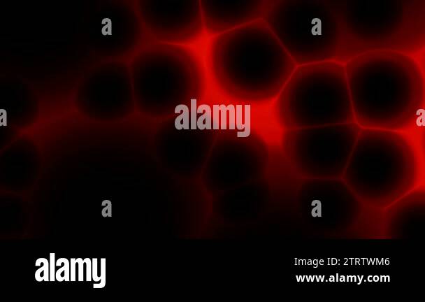 motion graphics and animated background with moving and morphing red ...