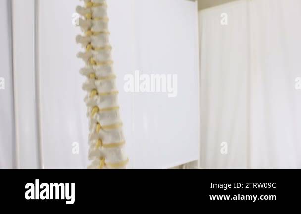 Human spine showing vertebrae Stock Videos & Footage - HD and 4K Video ...