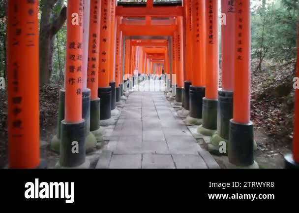 Fushimi Inari Kyoto Japanese Shrine Torii Gates Stock Video Footage - Alamy