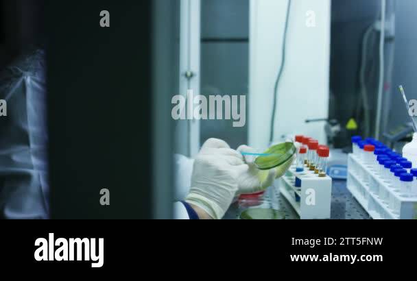 Video samples Stock Videos & Footage - HD and 4K Video Clips - Alamy