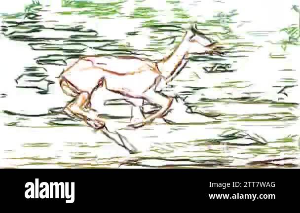 Gazelle cartoon Stock Videos & Footage - HD and 4K Video Clips - Alamy