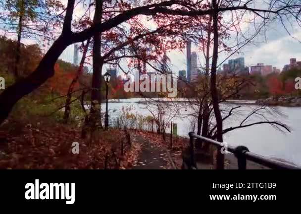 Central park walk Stock Videos & Footage - HD and 4K Video Clips - Alamy