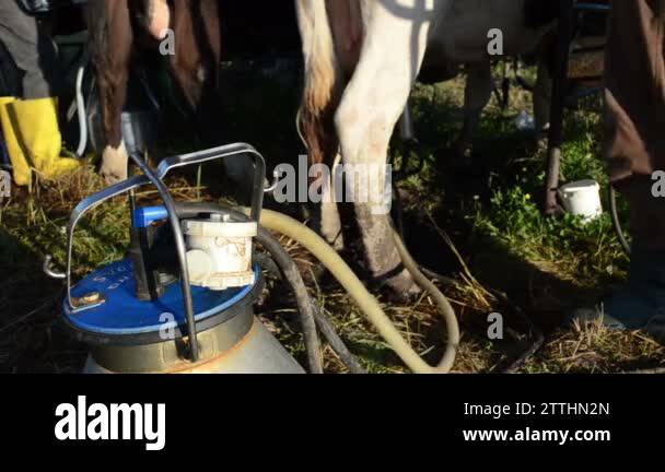 Pump milking Stock Videos & Footage - HD and 4K Video Clips - Alamy