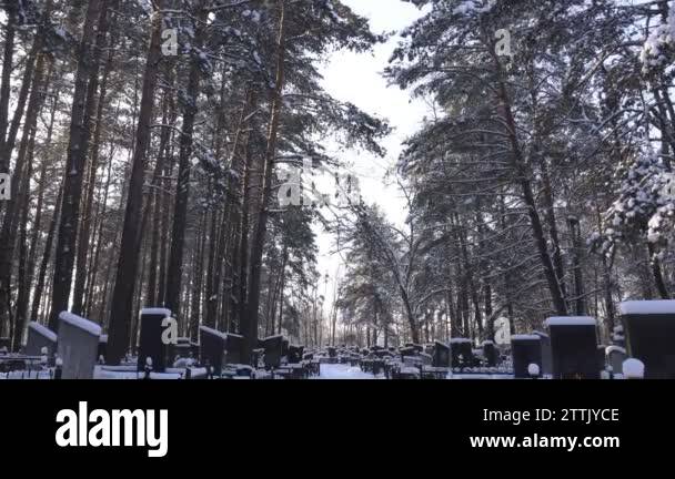 Gods acre cemetery Stock Videos & Footage - HD and 4K Video Clips - Alamy