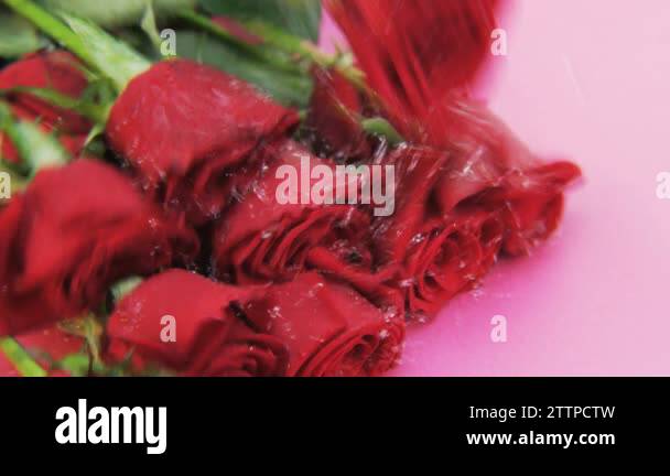 Falling down pink roses Stock Videos & Footage - HD and 4K Video Clips ...