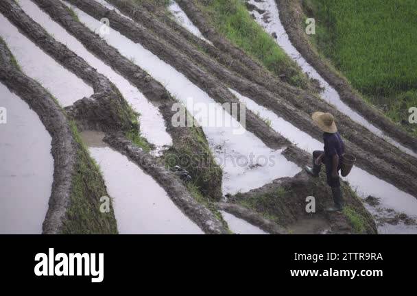 Poor farmer china Stock Videos & Footage - HD and 4K Video Clips - Alamy