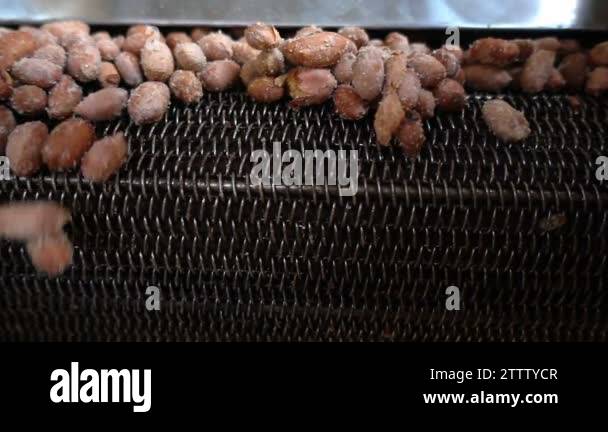 Peanuts Roasting Machine Stock Videos Footage Hd And 4k Video Clips