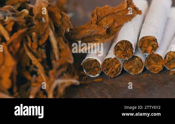 roll ups cigarettes Home-made cigarettes or roll-ups are on the table next to big leaves of dry  tobacco Stock Video Footage