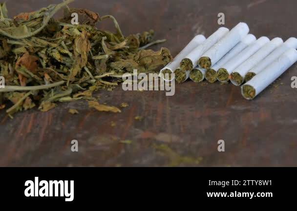 cost of pack of cigarettes florida How much does a pack of cigarettes cost where u are? : r/stopsmoking